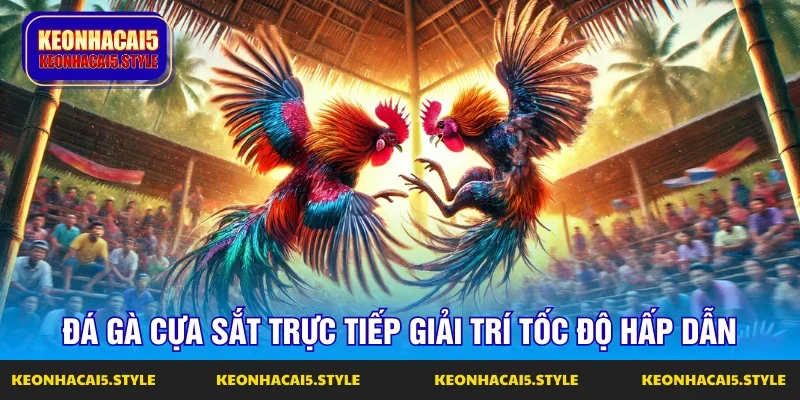 da ga cua sat truc tiep hinh thuc dau day toc do da ga cua sat truc tiep hinh thuc dau day toc do
