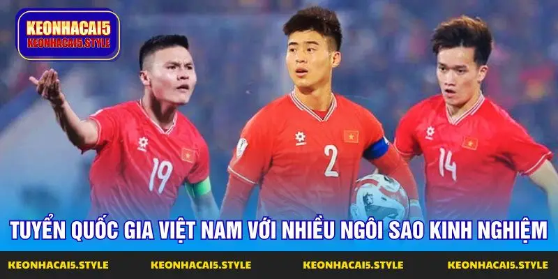 tuyen viet nam van se su dung bo khung nhieu kinh nghiem tuyen viet nam van se su dung bo khung nhieu kinh nghiem